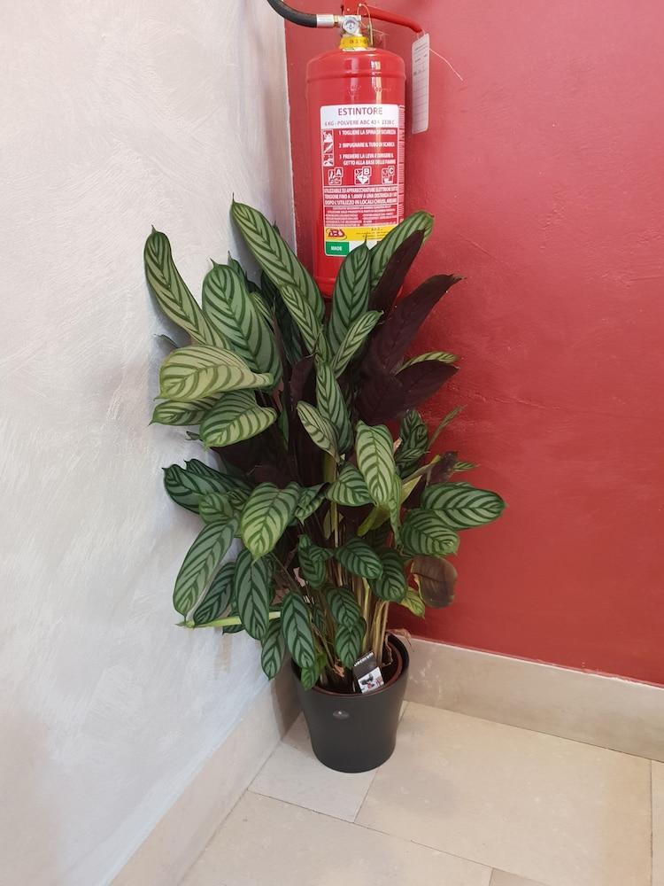 Salieri Hotel Venedig